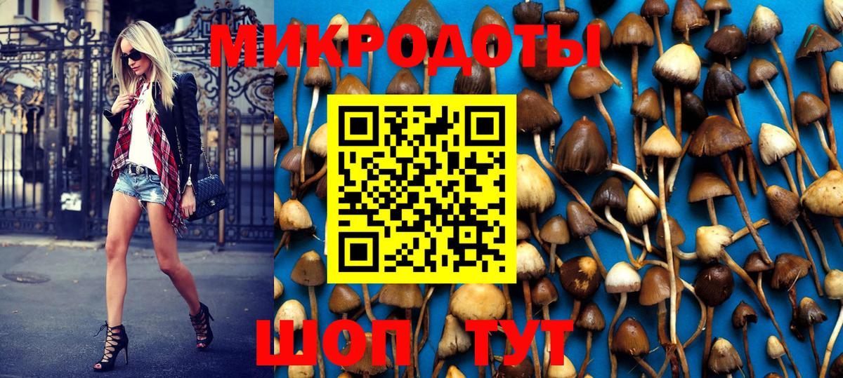 Галлюциногенные грибы MAGIC MUSHROOMS  Вход с VPN  Гай 