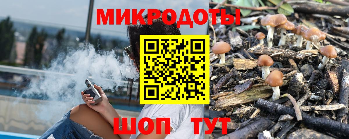 Псилоцибиновые грибы Psilocybine cubensis Гай
