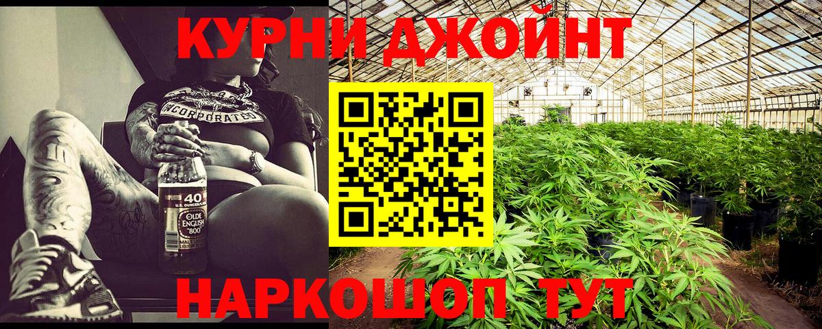 Каннабис конопля Гай